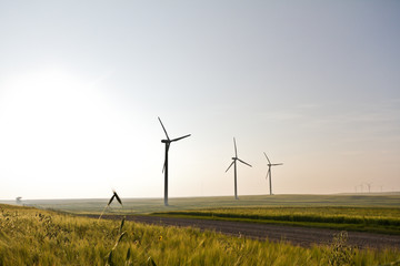 Windmills disappearing into a morning mist