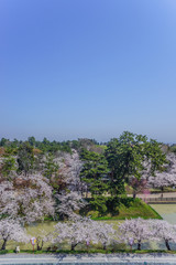 春の弘前城の風景