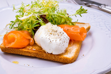 Toast with poached egg and salmon