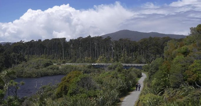 New Zealand Ancient Swamp Forest