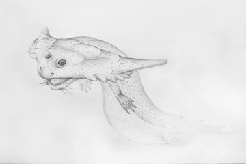 Diplocaulus. Portrait of amphibian. Paleontological illustrations.