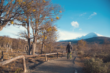 Tierra del Fuego landscape Ushuaia Argentina