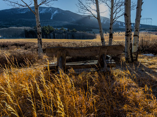 Obraz premium Old Wooden Bench In The Prairie