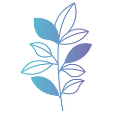 cute leafs decorative icon vector illustration design