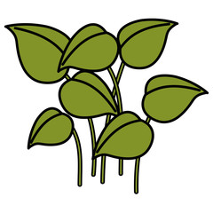 leafs plants garden icon vector illustration design