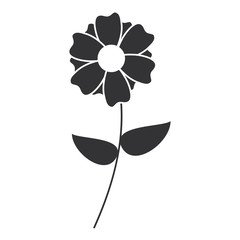 cute flower isolated icon vector illustration design