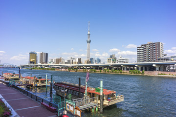 Sumida River and Skytree Asakusa Tokyo