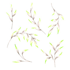 Watercolour leaves collection in different shapes