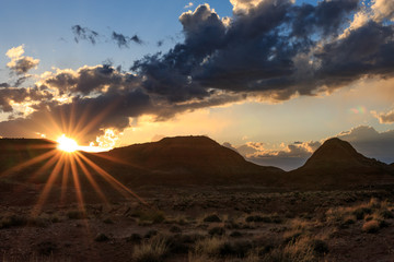 painted desert sunstar