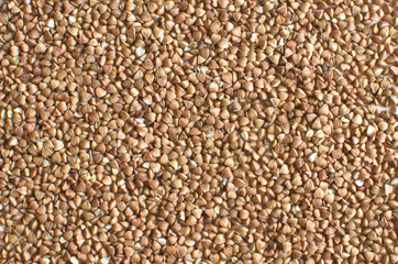 seeds of buckwheat close up - background