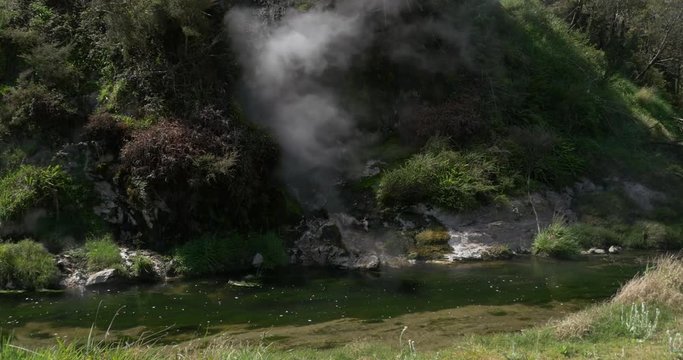 New Zealand, Geothermal, Volcanic, Pool, steam, heat, sulphur
