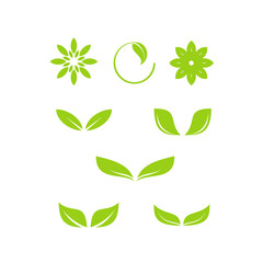 Leaf Logo Design Vector