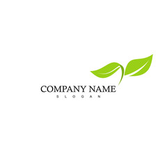 Leaf Logo Design Vector