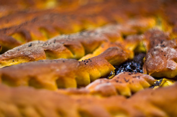 baked homemade rustic pie with apples, poppy seeds and jam