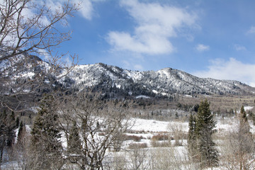 Fototapeta na wymiar snowy mountain peak landscape in wasatch mountain range during snow storm.