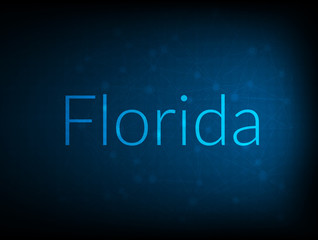 Florida abstract Technology Backgound