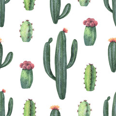 Watercolor vector seamless pattern of cacti and succulent plants isolated on white background.