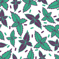 Gentle flower seamless pattern with hand-drawn pepermint.