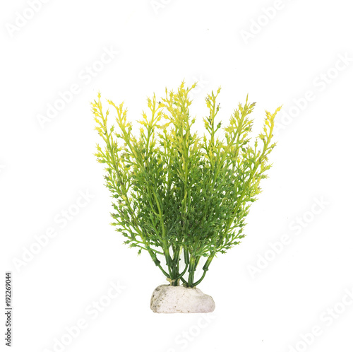 Unduh 76 Koleksi Background Aquarium White Gratis