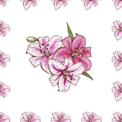 Seamless pattern with pink lilies flower on white background. Vector set of blooming floral for wedding invitations and greeting card design.