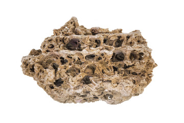 decoration for an aquarium, white isolated background