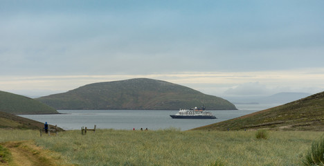  A cruise ship in a bay of the Falkland Islands.