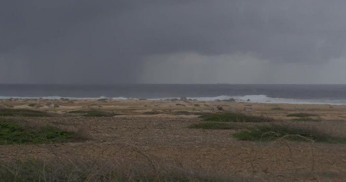 Aruba crashing waves on rocks before a hurricane storm