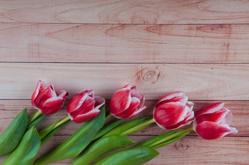 Close up of five red tulips laying on light wooden background