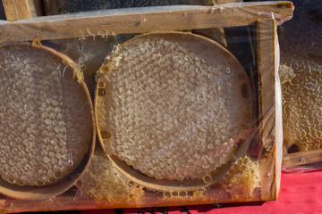 Fresh honey in the sealed comb frame