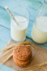 fresh oatmeal cookies and milk on blue wooden background with spikelets of oat