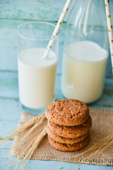 fresh oatmeal cookies and milk on blue wooden background with spikelets of oat