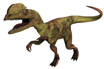 Dilophosaurus dinosauro a due creste