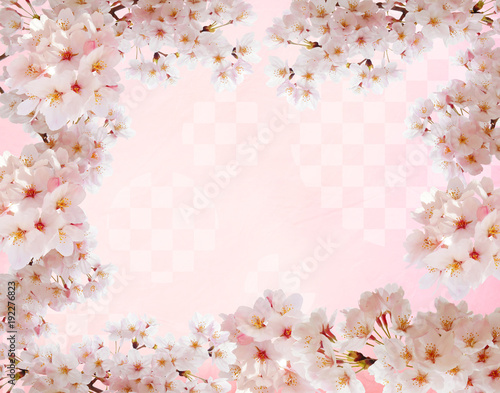 市松模様和紙背景と桜のフレーム素材 Wall Mural Wallpaper Murals Rrice