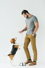 man pointing on something to dog on white