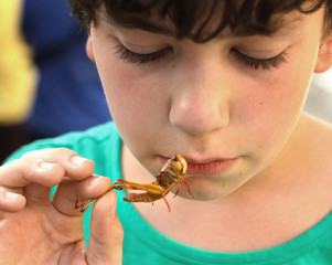 teenager boy with disgust grimace hold unusial strange thai food roasted grasshopper