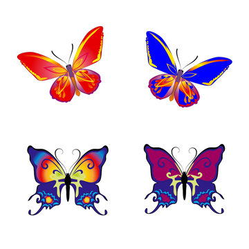 Beautiful Butterfly collection on white background,