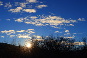 Shining sun through branches in Pyrenees, Aude in South of France
