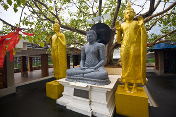 Famous siting Buddha statues in The Seema Malaka Temple - Gangaramaya in Colombo