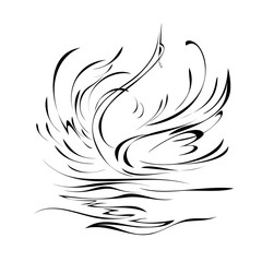 swan 11. graceful Swan floating on the water