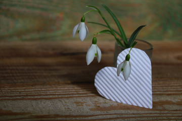 schneeglöckchen und herz auf holz