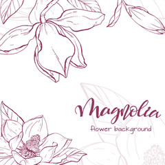Sketch linear magnolia blossom.