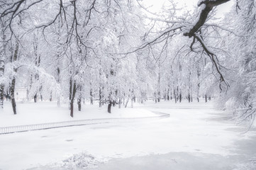 Great snow in the city park