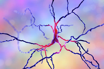 Dopaminergic neuron, computer reconstruction. Degeneration of this brain cells are responsible for development of Parkinson's disease, 3D illustration
