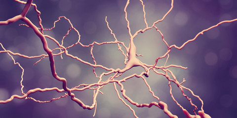 Dopaminergic neuron, computer reconstruction. Degeneration of this brain cells are responsible for development of Parkinson's disease, 3D illustration