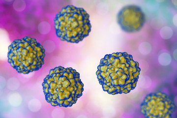 TTV hepatitis virus, transfusion transmitted or torque teno virus, 3D illustration