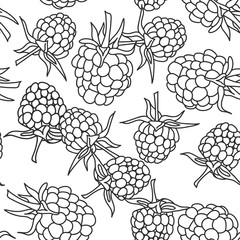 raspberry blackberry with leaves seamless pettern on isolated on white background for site, blog, coloring book, fabric. Vector