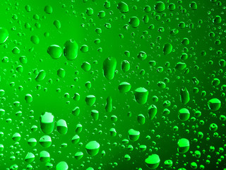 Droplets of water on a warm green background