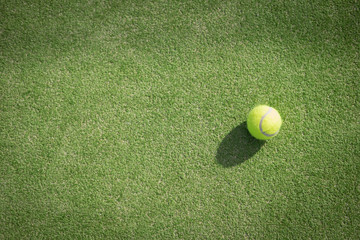 Paddle tennis court and ball