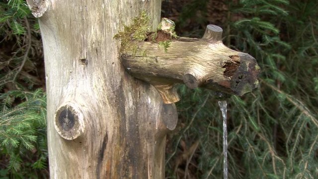 wood fountain with lapping water 06
