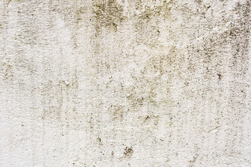 Textured background of a tiled wall with traces of moisture in the form of a green fungus vertical...